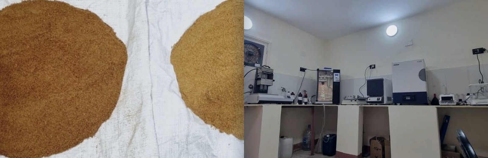 Fish Meal: the parameters buyers should evaluate